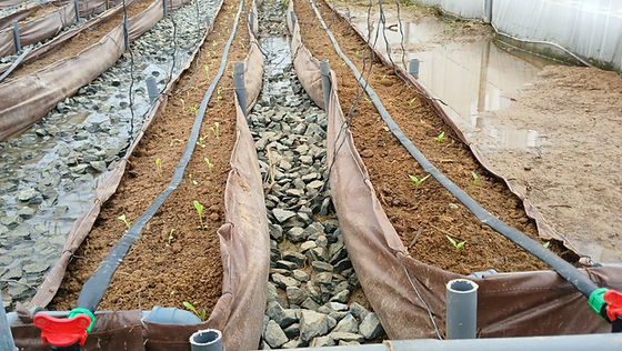 Jigawa State Projects